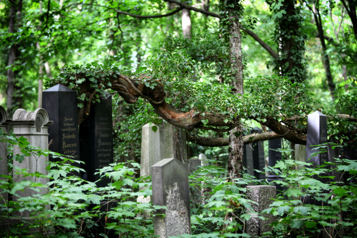 Jüdischer Friedhof Weißensee